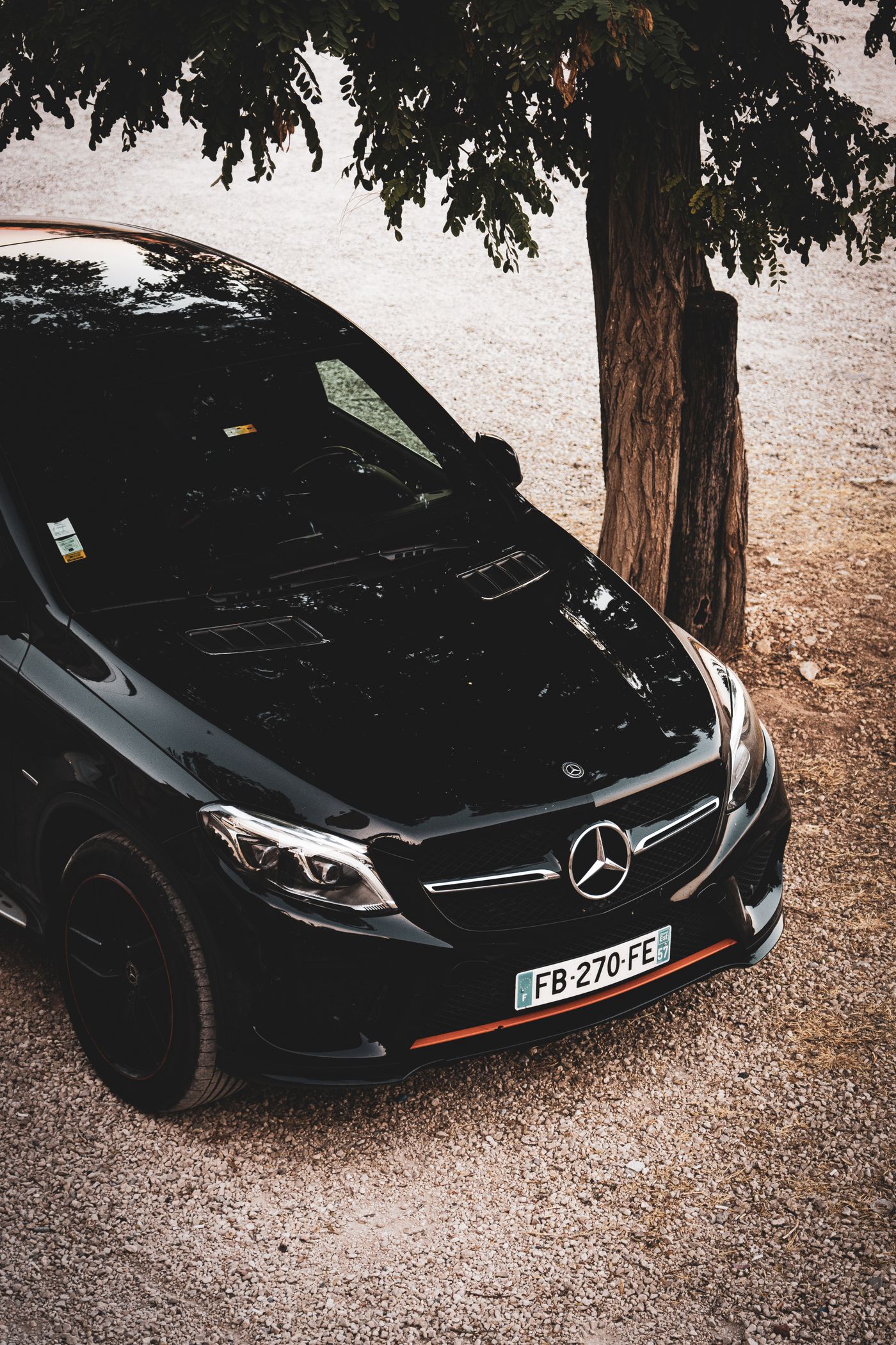 Black Mercedes beneath a tree, seen from above